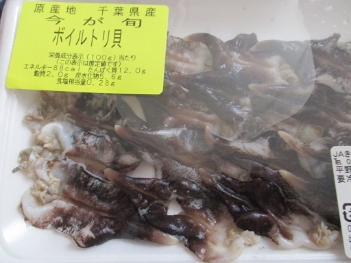 ｏｄｏｙａ富津店 房総半島の鮮魚店で こんな魚を買ってみた