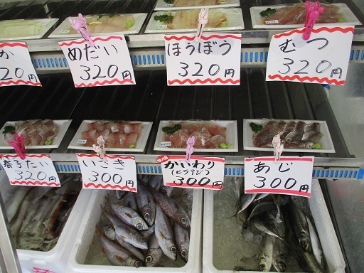 鴨川市の藤徳商店でメダイとカイワリの刺身パックを購入 記憶では低級魚のイメージだったメダイだが 今回食べてみると なかなかにウマイ魚だった 房総半島の鮮魚店で こんな魚を買ってみた 房総鮮魚人のブログ