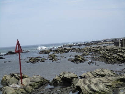IMG_8279.JPG